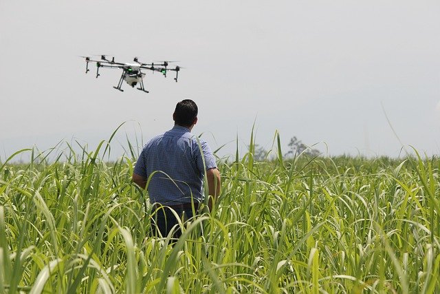 How Farmers Are Using Drones for Real-Time Disease Detection 6 Relevant image 2