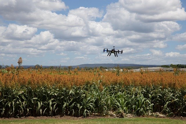 How Drones Detect Diseases in Real-Time 1 Relevant image 1