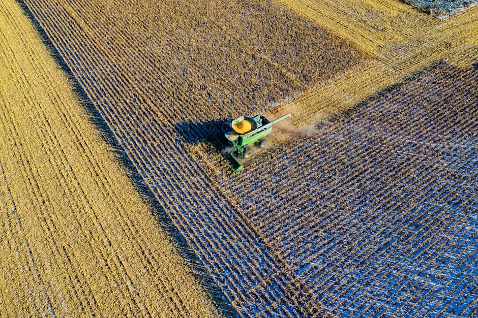 Aerial shot of a harvester working a cornfield in rural Austin, MN during fall season.