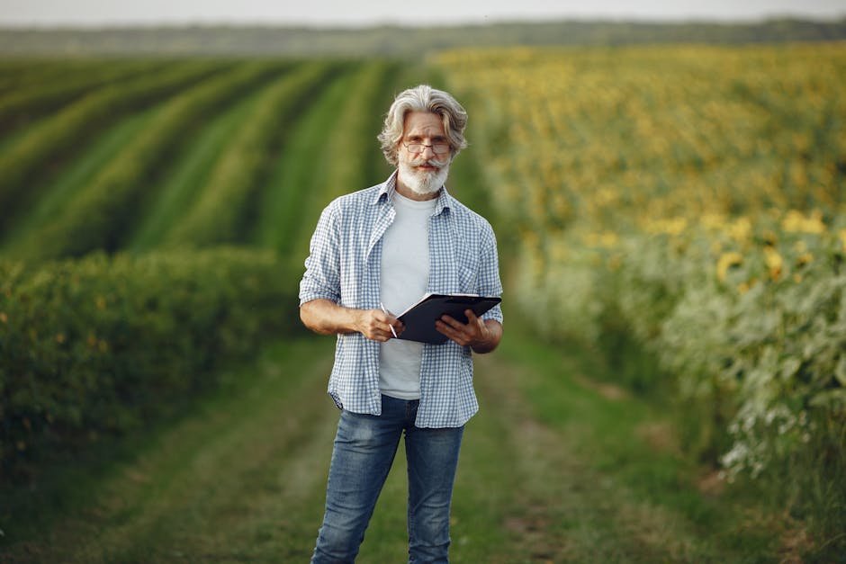 Mature farmer standing in a lush sunflower field using a tablet for agribusiness.