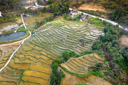 The Best LiDAR Drones for Agriculture: Are They Worth the Cost? - pexels