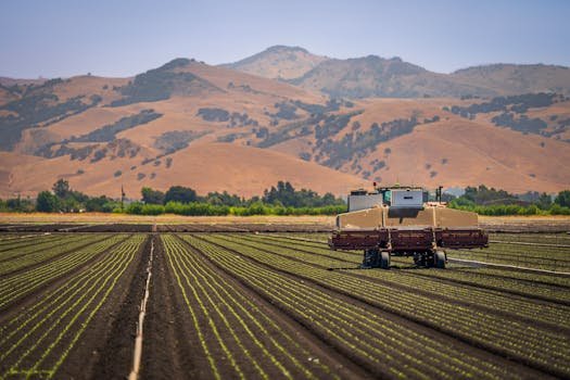 The Top 3 Drone Sensors Every Farmer Should Know About 7 Relevant image 2