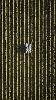 The Impact of Drone Technology on Crop Insurance and Risk Management 3 Relevant image 1